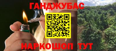 шишки Будённовск