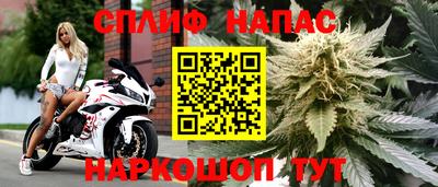 шишки Будённовск
