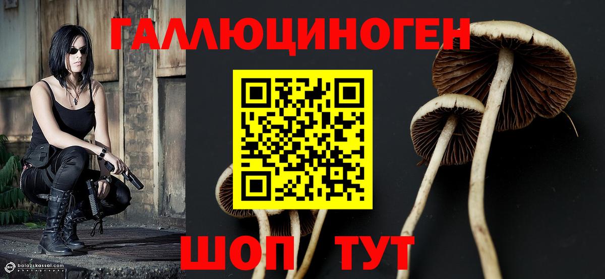 Краснодар  Галлюциногенные грибы ЛСД  Вход с VPN 